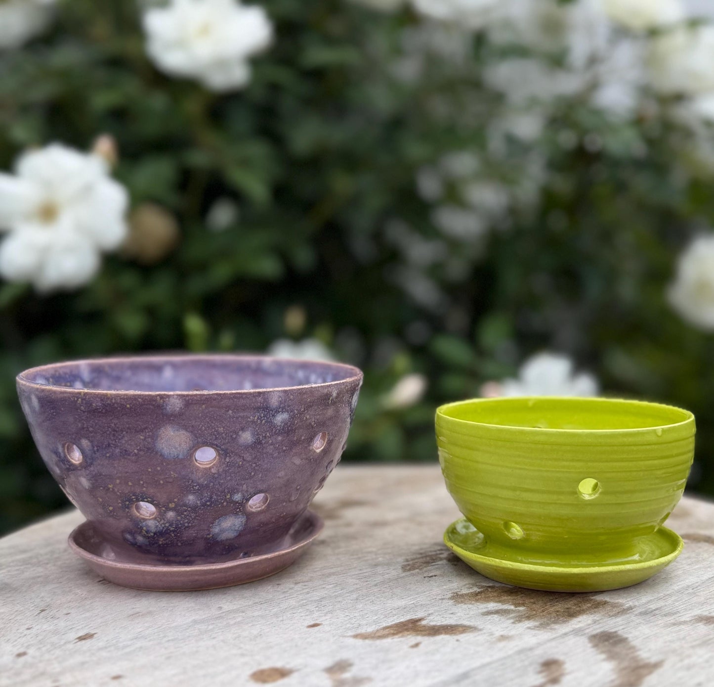 Berry Bowls: Wash & Store Colanders with Built-in Saucer and Holes