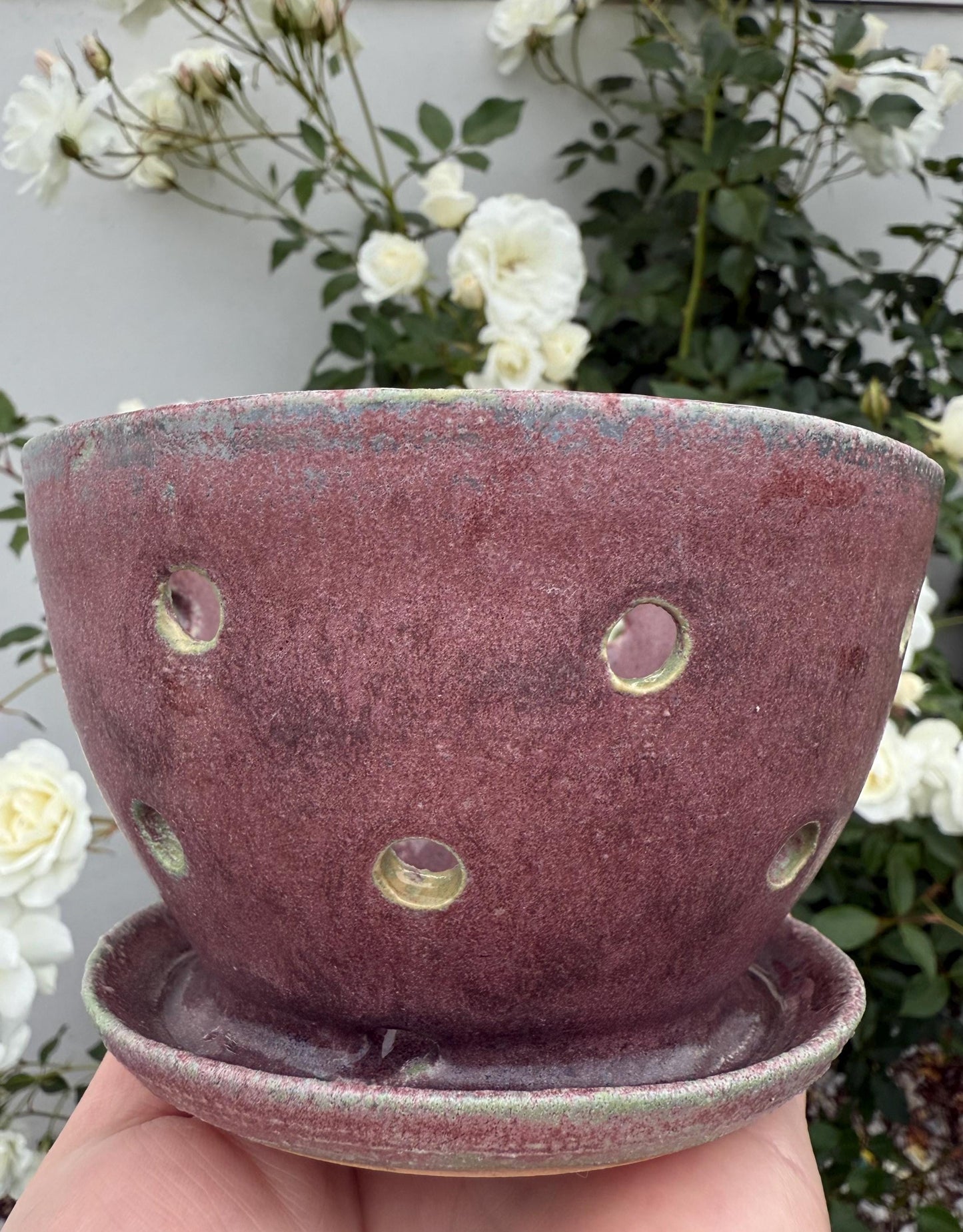 Berry Bowls: Wash & Store Colanders with Built-in Saucer and Holes
