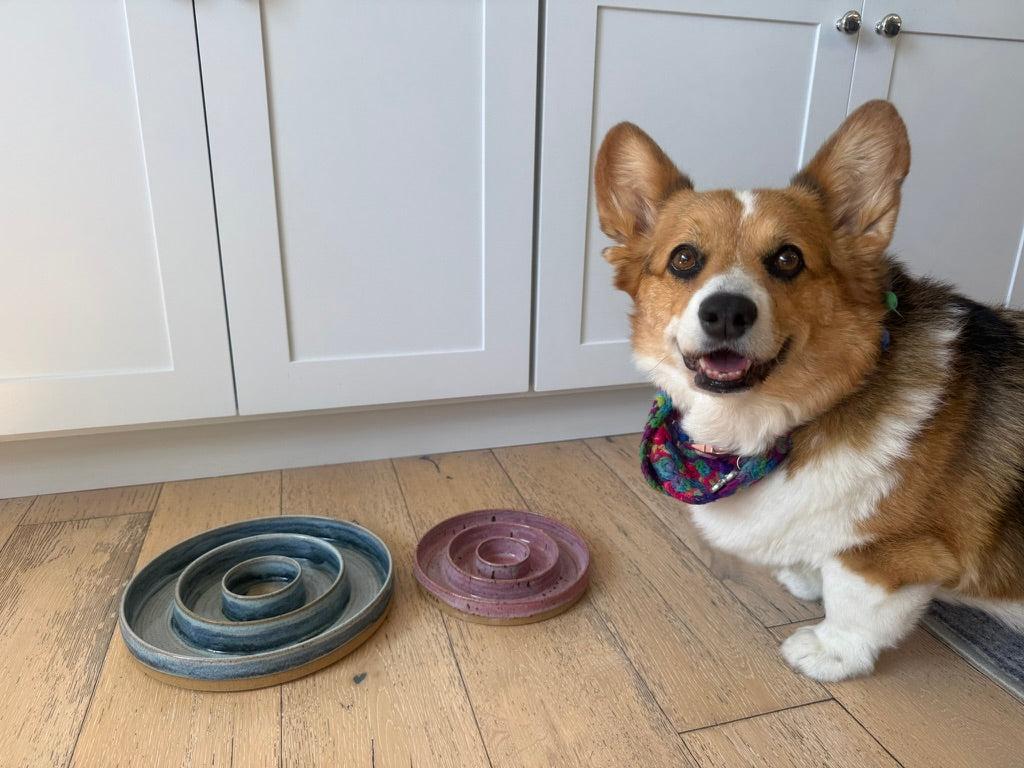 Pet Collection