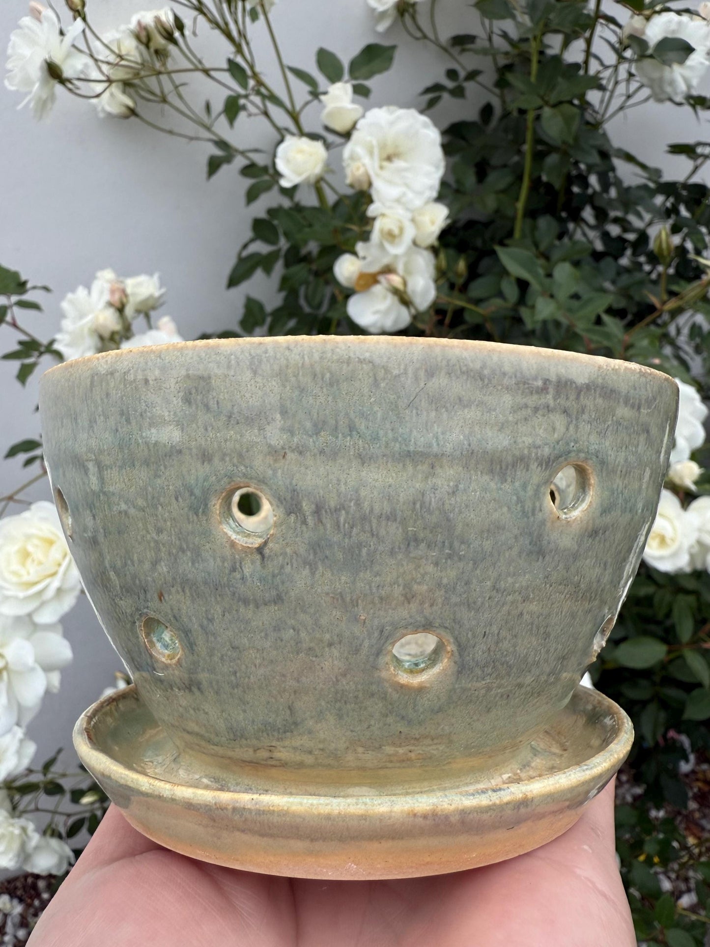 Colander Berry Bowl with Saucer: Pottery