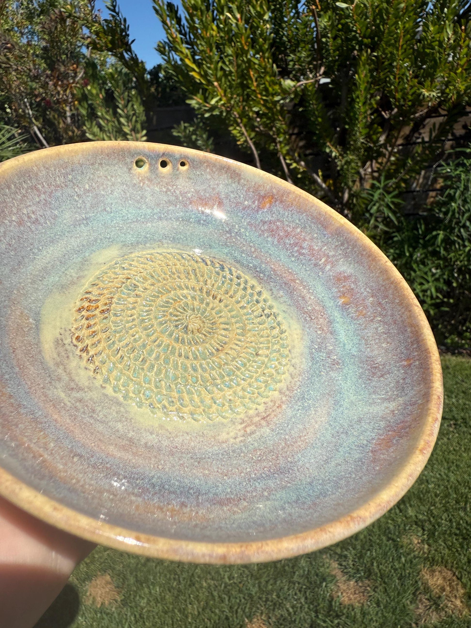 Garlic Grater Dish with Herb Stripper, Grind Plate for Parmesean, Ginger, Nutmeg