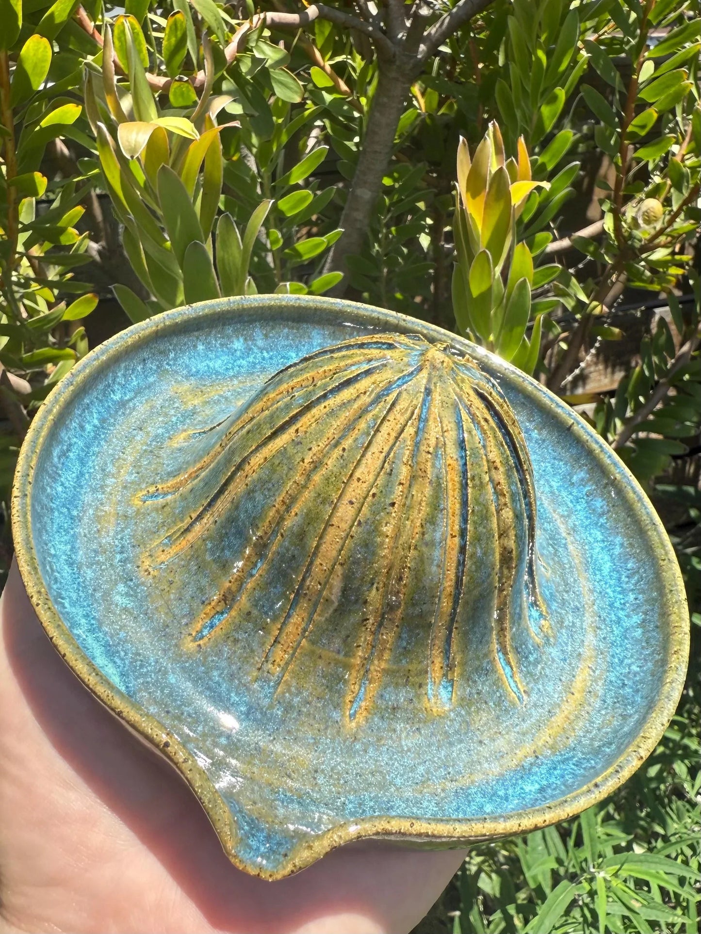 Hand holding a blue and brown ceramic citrus juicer pottery piece outdoors