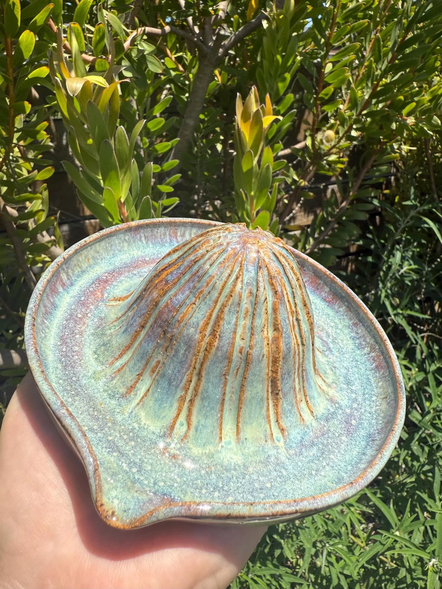 Hand holding a hand-painted ceramic citrus juicer with seafoam green glaze and rustic brown accents