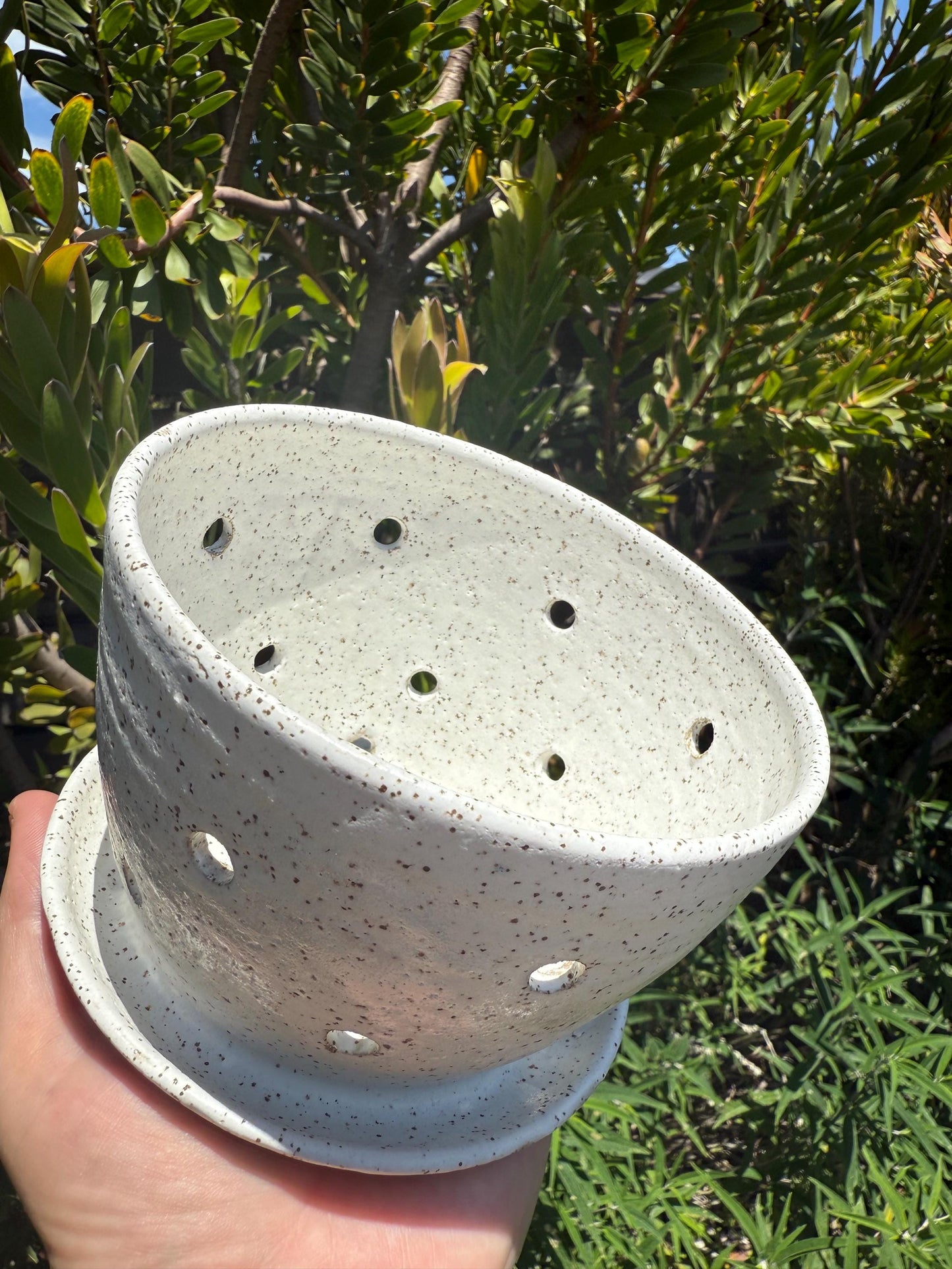Colander Berry Bowl with Saucer: Pottery