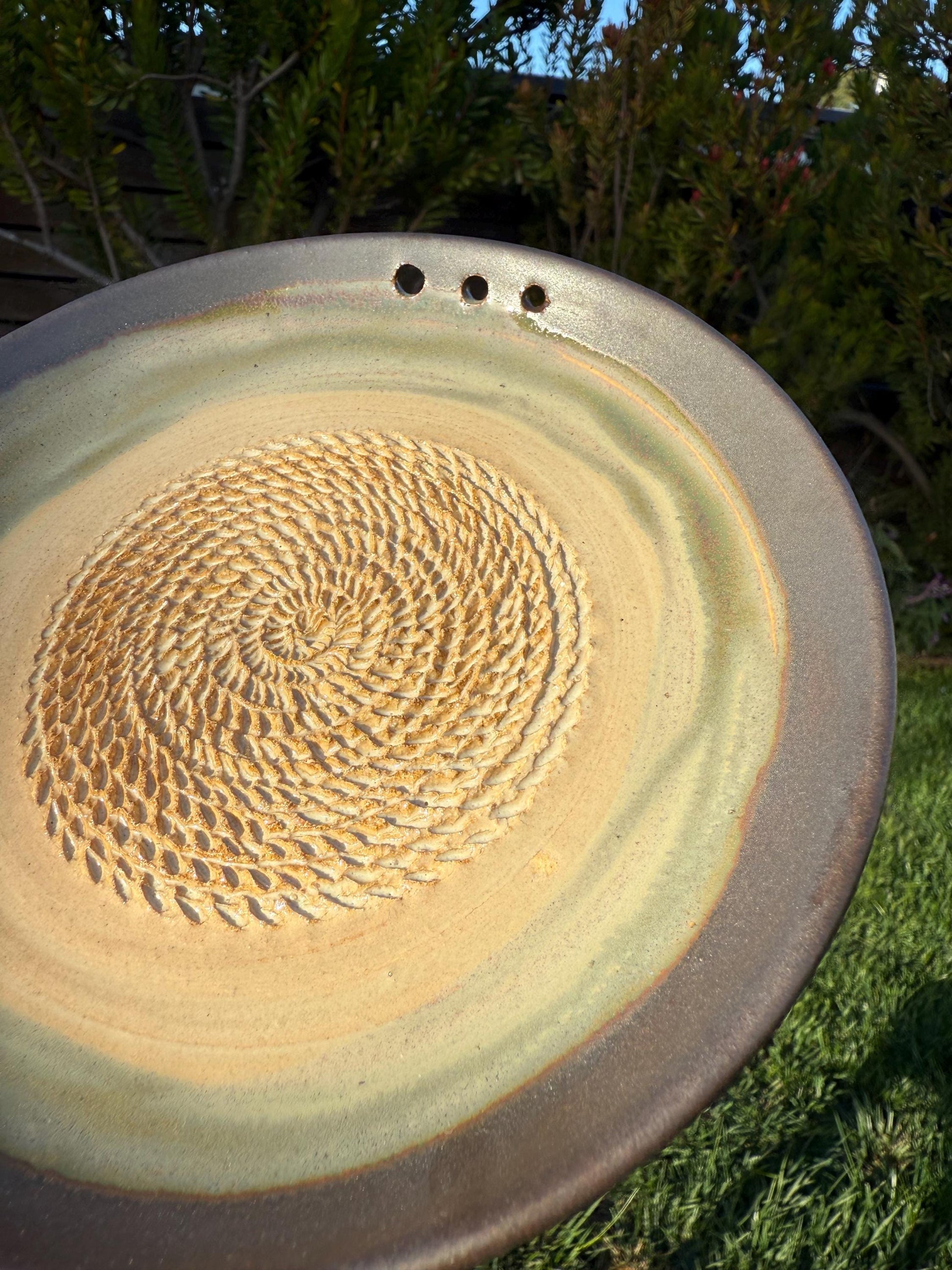 Garlic Grater Dish with Herb Stripper, Grind Plate for Parmesean, Ginger, Nutmeg