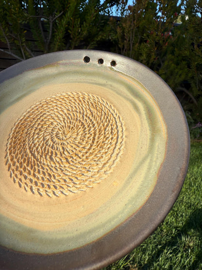 Garlic Grater Dish with Herb Stripper, Grind Plate for Parmesean, Ginger, Nutmeg