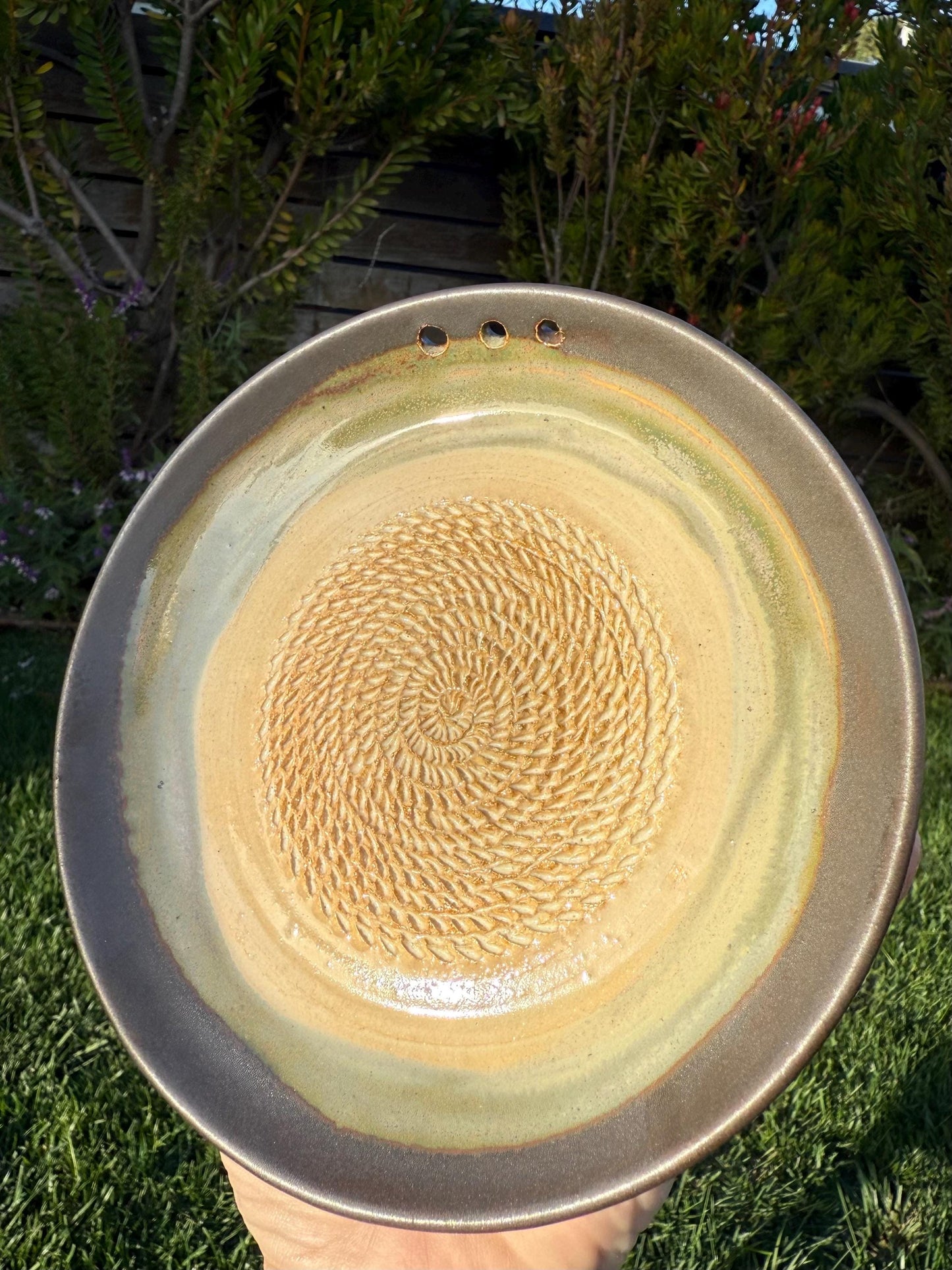 Garlic Grater Dish with Herb Stripper, Grind Plate for Parmesean, Ginger, Nutmeg