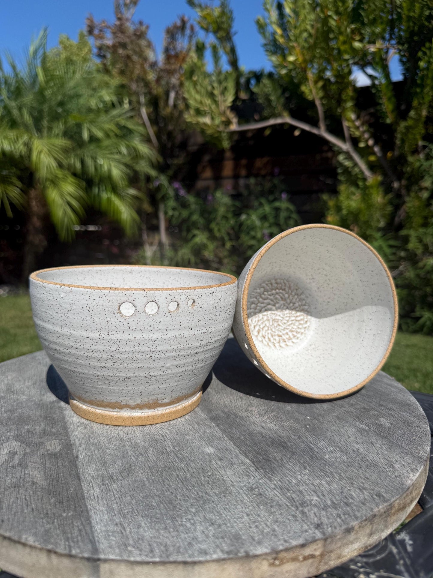 Grate and Mix Bowls, Chip & Dip with Herb Stripper, for Garlic, Spices, Firm Fruits Veggies