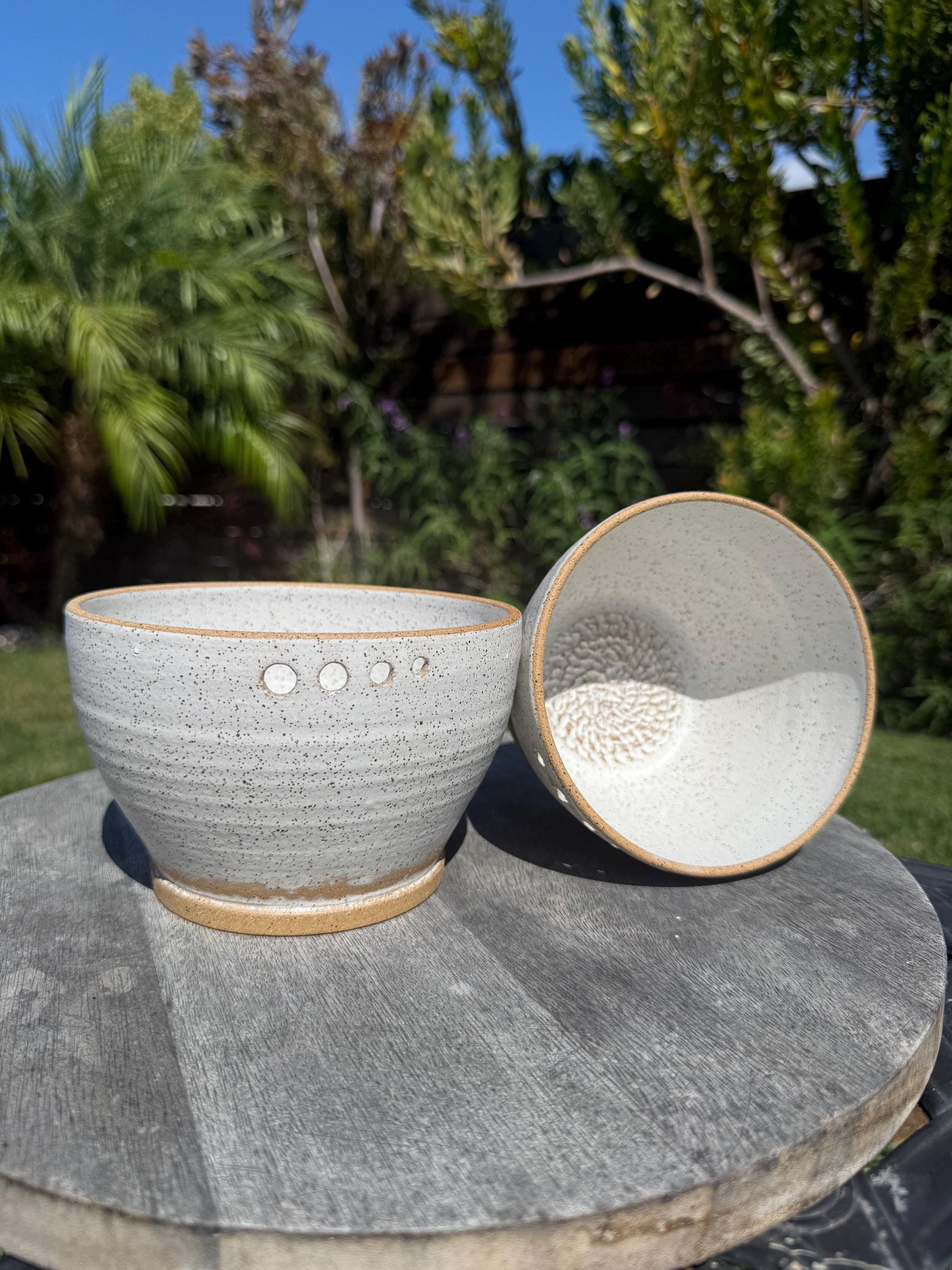 Grate and Mix Bowls, Chip & Dip with Herb Stripper, for Garlic, Spices, Firm Fruits Veggies