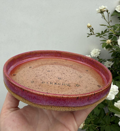Slow Feeder Pet Food Bowls & Water Dishes for Cats Small Dogs, Personalized Made to Order