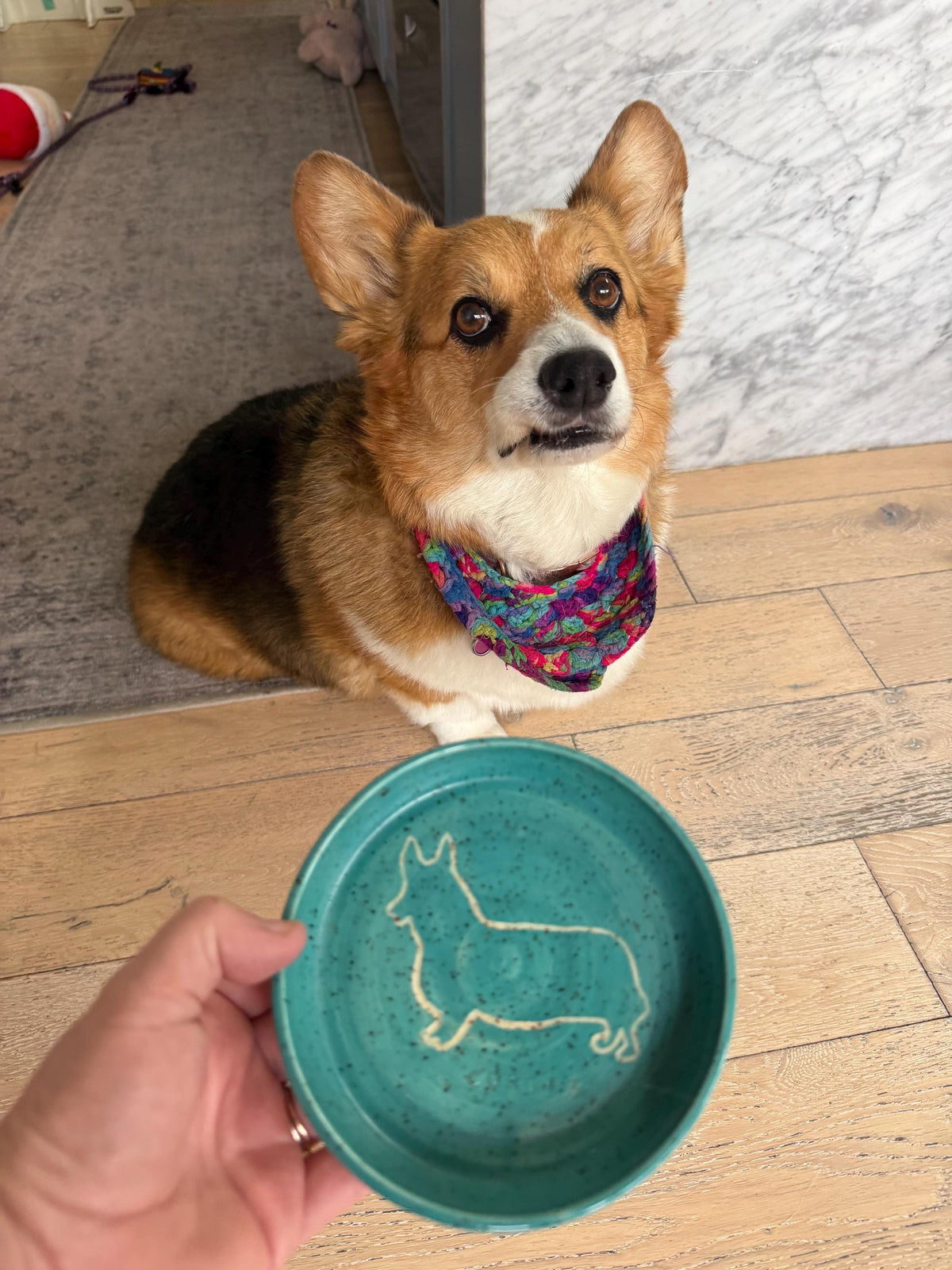 Slow Feeder Pet Food Bowls & Water Dishes for Cats Small Dogs, Personalized Made to Order