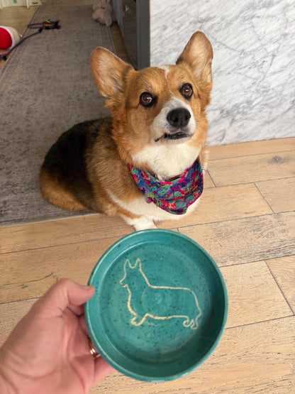 Slow Feeder Pet Food Bowls & Water Dishes for Cats Small Dogs, Personalized Made to Order