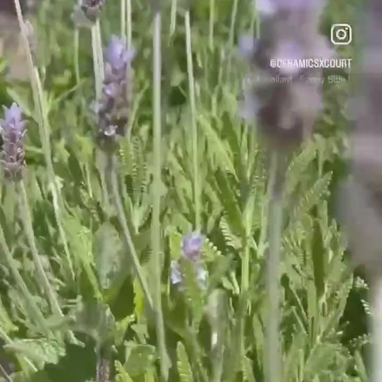 Small Vases with Pressed and Hand-Painted Lavender and Herbs Plant Impressions
